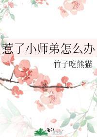 惹了小师弟怎么办晋江