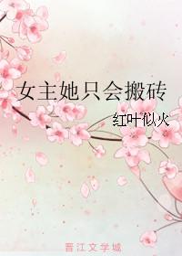 女主她只会搬砖书包网