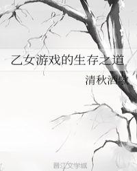 乙女游戏攻略指南