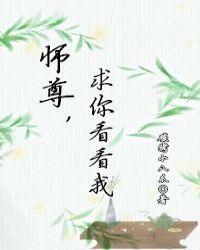 师尊 求你看看我