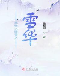 宠物小精灵之雪绯