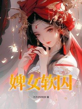 婢女的解释