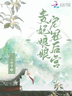 贵妃娘娘宠冠后宫介绍