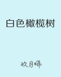 白色橄榄树电视剧全集34播放免费