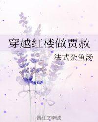 穿越红楼做贾赦TXT