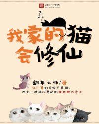 我家的猫呢