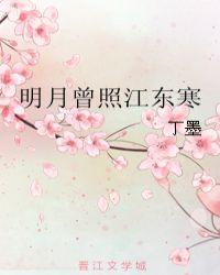 明月曾照江东寒花絮