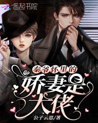 秦爷怀里是娇妻是大佬epub