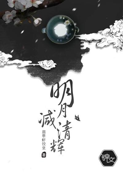 明月减清辉无广告