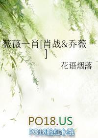 薇薇采访肖战的节目叫什么