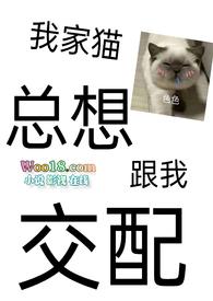 猫咪总想跟人在一起