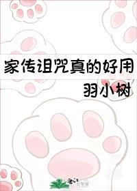 家传是什么意思