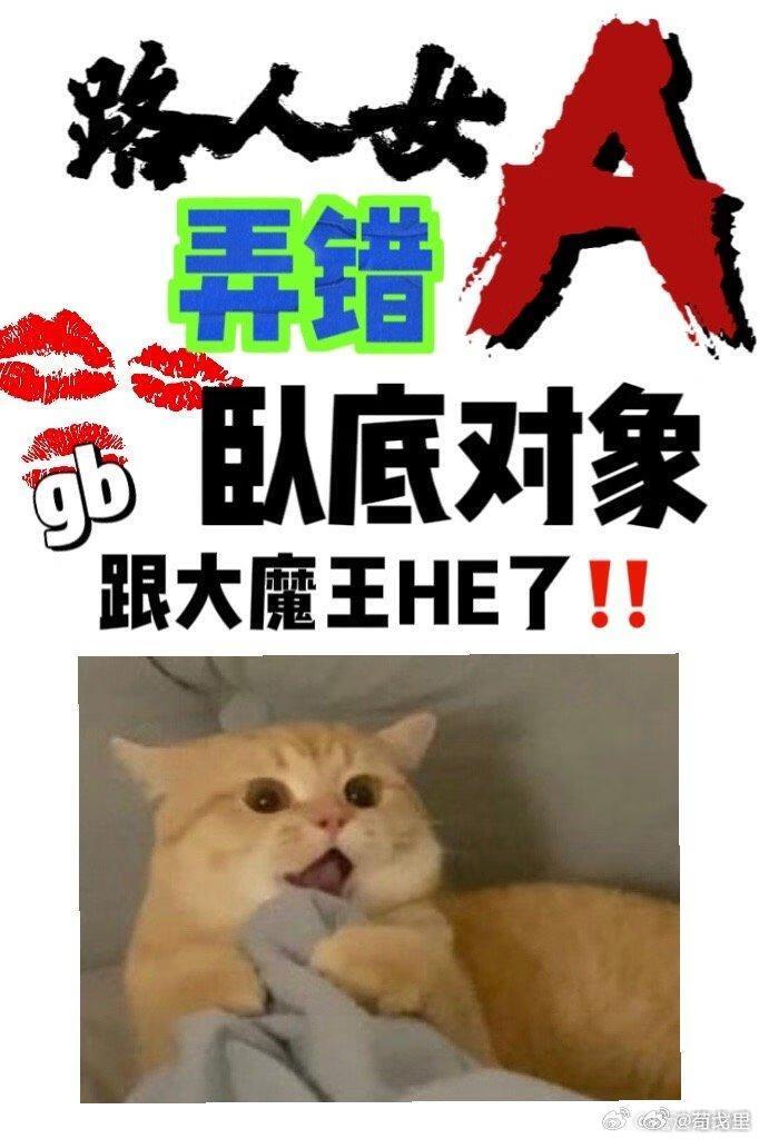 路人女A弄错卧底对象了TXT