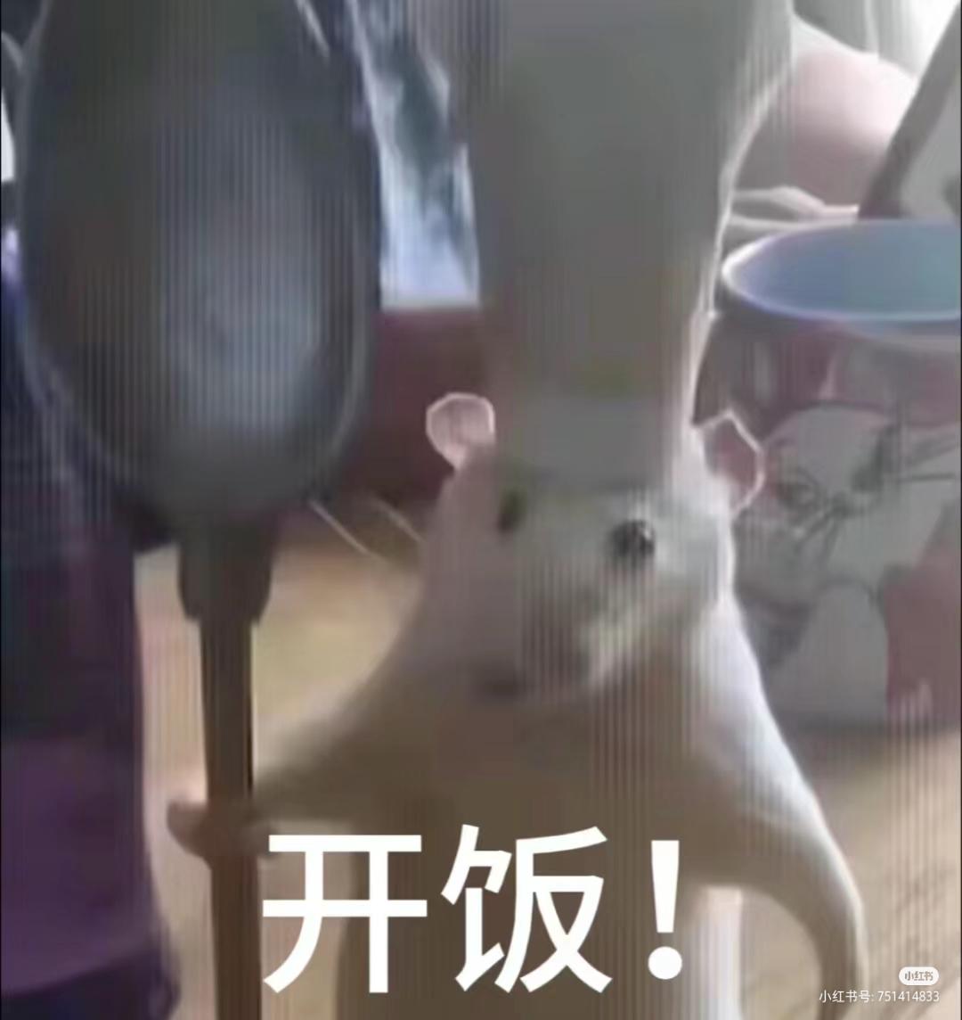 魅魔steam能买吗