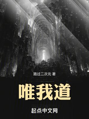 唯我道TXT精校版