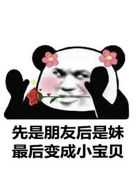 对我展开声势浩大的追求