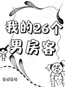 我的26个男房客主要内容