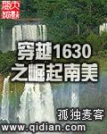 穿越1630之崛起南美内容