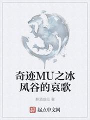 奇迹mu冰风谷刷怪点