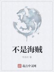 不是海贼王的海贼