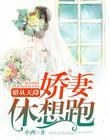 婚从天降温晓