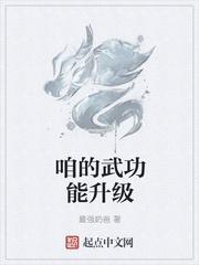 我的武功能氪金123