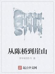 从陈桥到崖山pdf