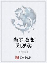 海贼忍者系统