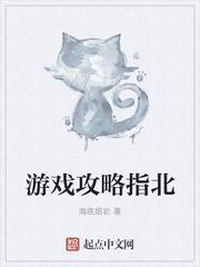 游戏攻略 书