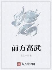 前方高能的意思是什么