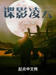 谍影凌云无错版