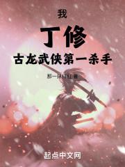 丁修武功