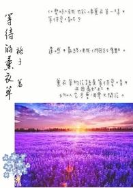 薰衣草花歌曲