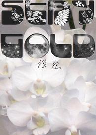 Stay gold乐队