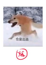 沦为废网