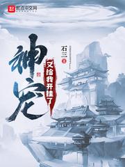 神宠我可以给神宠加属性