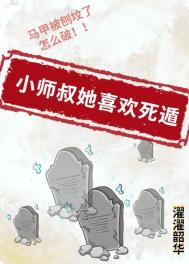 小师叔她喜欢死遁讲的什么