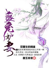 盛宠妻宝全文阅读