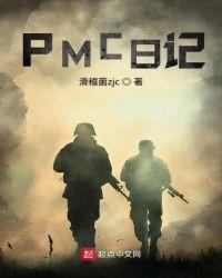 PMC日记