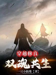 穿越修真:双魂共生